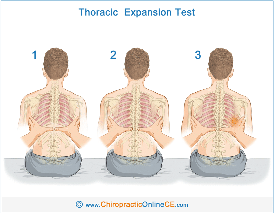 Spring Test Thoracic Spine _ Required Tests and Measures for Thoracic ...