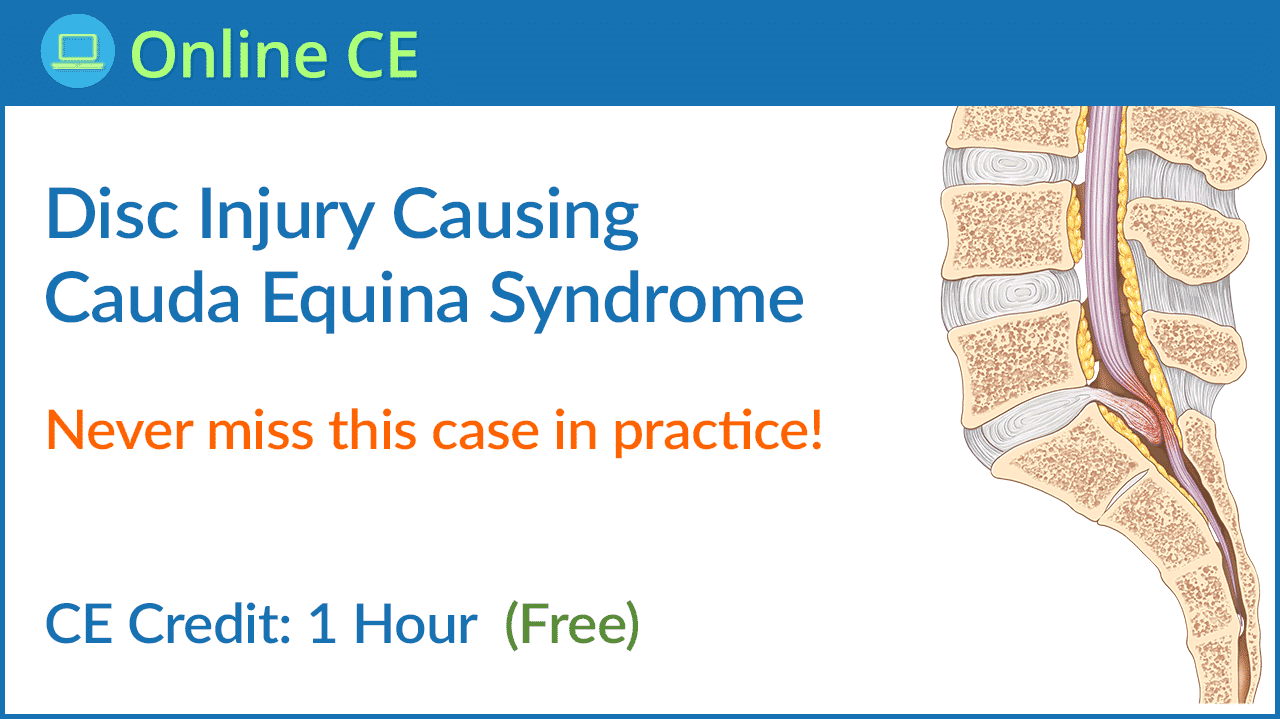 South Dakota Online Chiropractic Continuing Education South Dakota Online Chiropractic Continuing Education