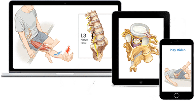 Chiropractic Online CE Courses (Continuing Education)