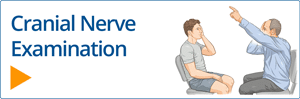 Cranial Nerve Examination