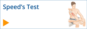 Video - Patellar Ballottement Test and Bulge Sign - Chiropractic Online ...