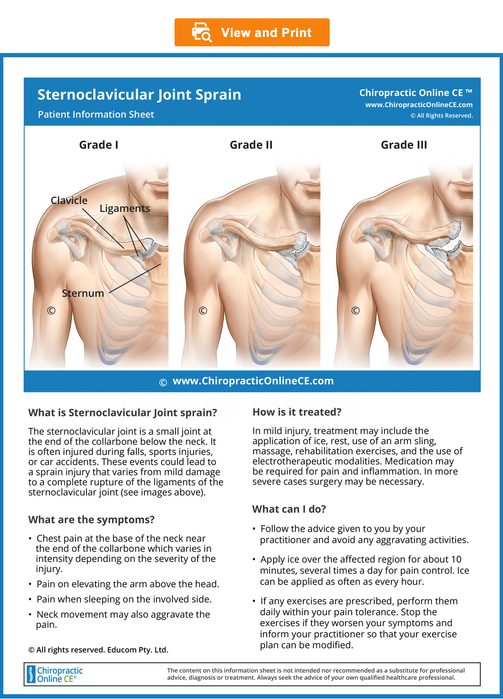 Sternoclavicular Joint Instability: Symptoms, Diagnosis And Management ...